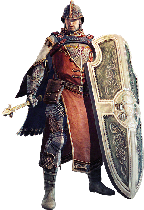 Job Shieldsage - Dragon Dogma Armor Paladin (478x693), Png Download