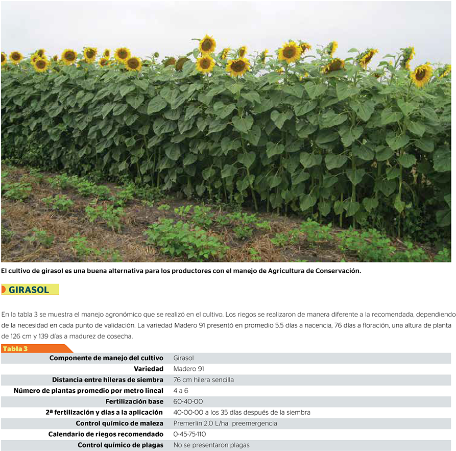 Regreso A Publicaciones - Plantation (999x999), Png Download