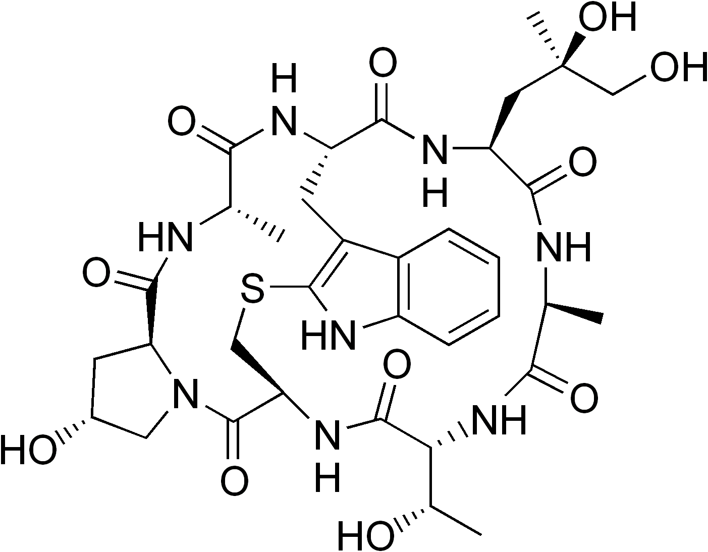 Phalloidin (1403x1094), Png Download