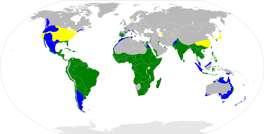 Countries In The World That Drive (1200x609), Png Download