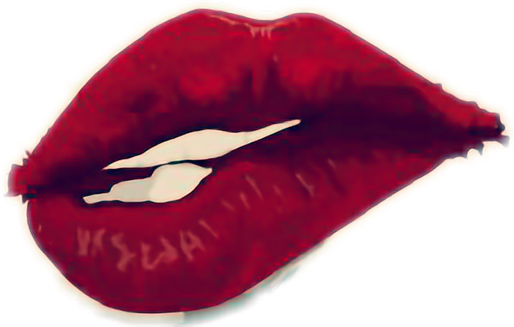 Boca Sticker - Songbird (1024x651), Png Download