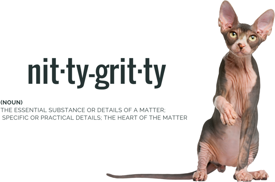 Where Theres Hair - Sphynx (1000x634), Png Download