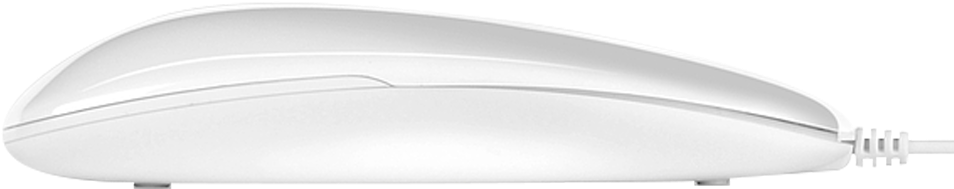 Next - Surfboard (1000x1000), Png Download