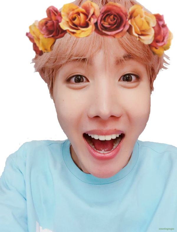 Jhope Blood Sweat And Tears Search Result Cliparts - J Hope Pink Hair (600x785), Png Download
