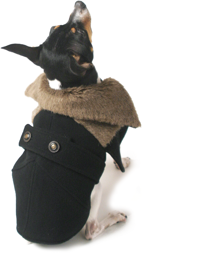 Bentley Cape Coat (1000x1000), Png Download