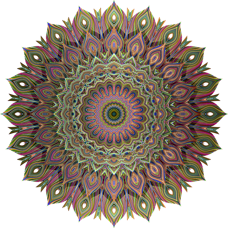 Peacocks Pride - Rainbow (784x784), Png Download