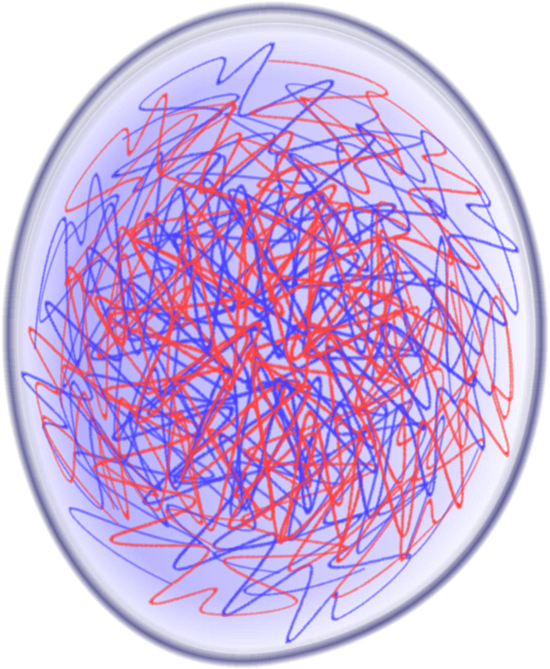 Download Nucleus Mitosis Eukaryotic Cell Division Interphase Full Size Png Image Pngkit
