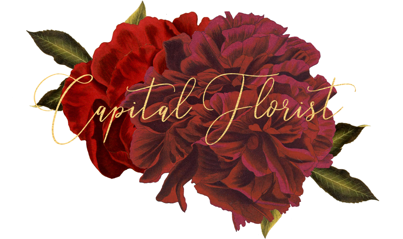 Diy Wedding Flower Tips Transparent Background - Hybrid Tea Rose (1395x828), Png Download