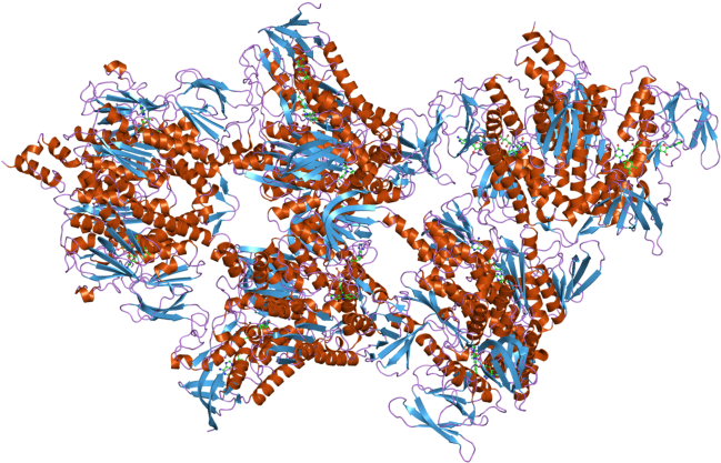 Dihydrolipoamide Dehydrogenase - Dihidrolipoamida Deshidrogenasa (800x600), Png Download