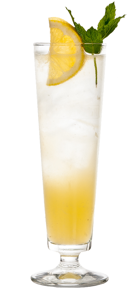 Gin Fizz - Highball (667x1000), Png Download