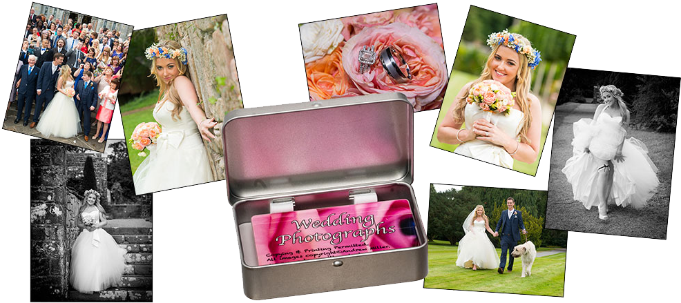 Wedding Photos On Usb - Bride (1000x442), Png Download