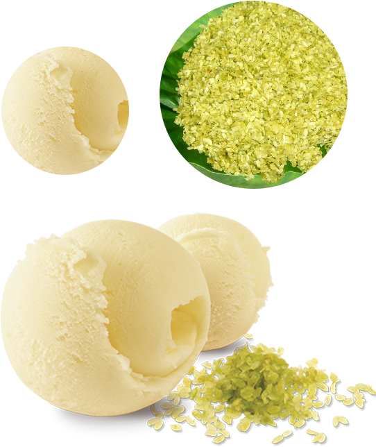 Gelato (583x744), Png Download