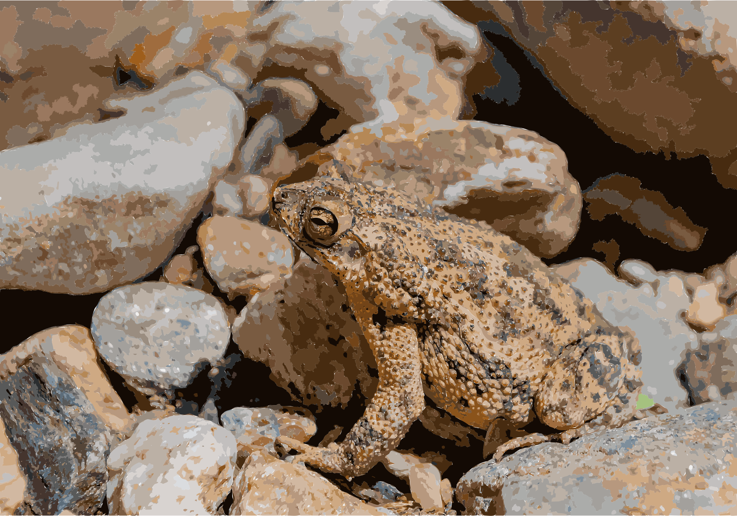 This Free Icons Png Design Of Bufo Marinus In Venezuela (2400x1680), Png Download