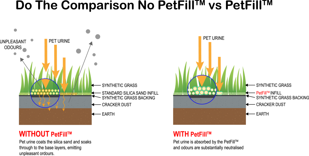 Diagram (1024x519), Png Download