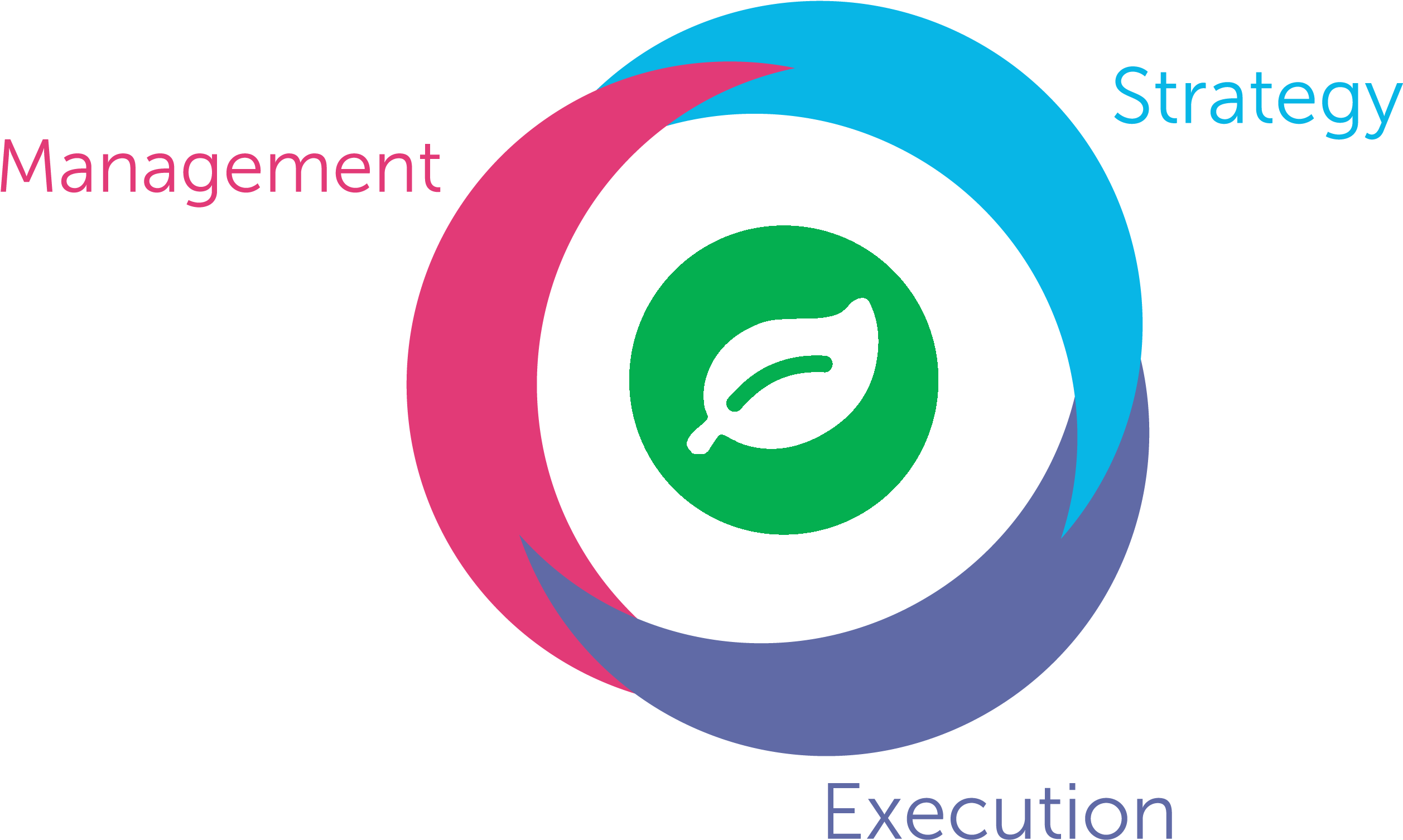 Rainforest Qa Product Structure - Loulou Et Autres Loups (2630x1725), Png Download