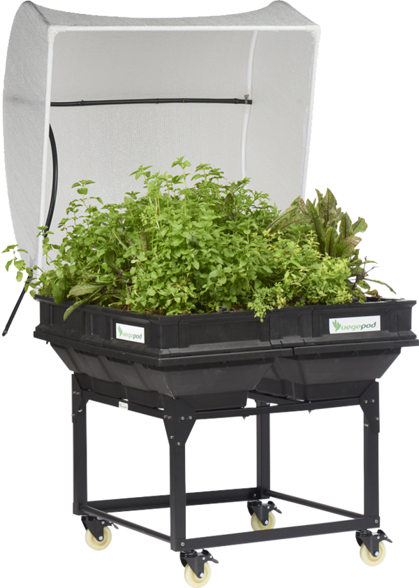 Image - Raised-bed Gardening (600x841), Png Download