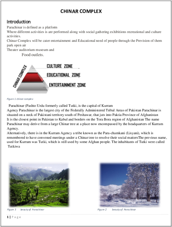 Pdf - Tree (600x776), Png Download