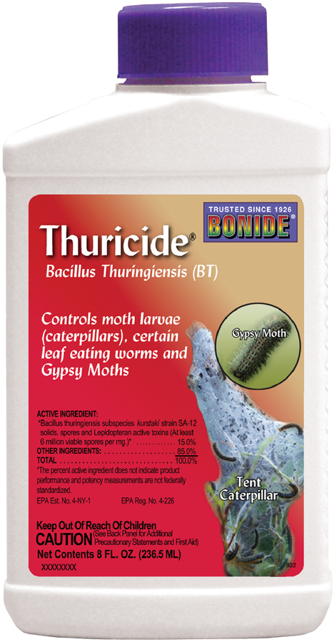 Bacillus Thuringiensis (468x900), Png Download