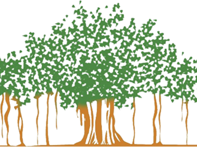 Banyan Tree Clipart Clip Art - Banyan Tree Logo Png (640x480), Png Download