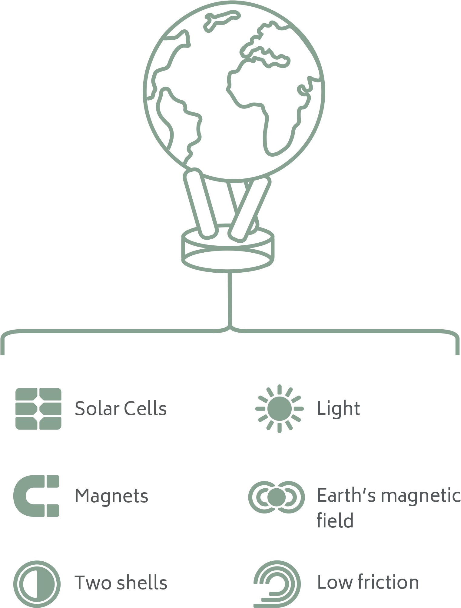 Each Globe Has A Transparent Outer Shell - Illustration (1522x2173), Png Download