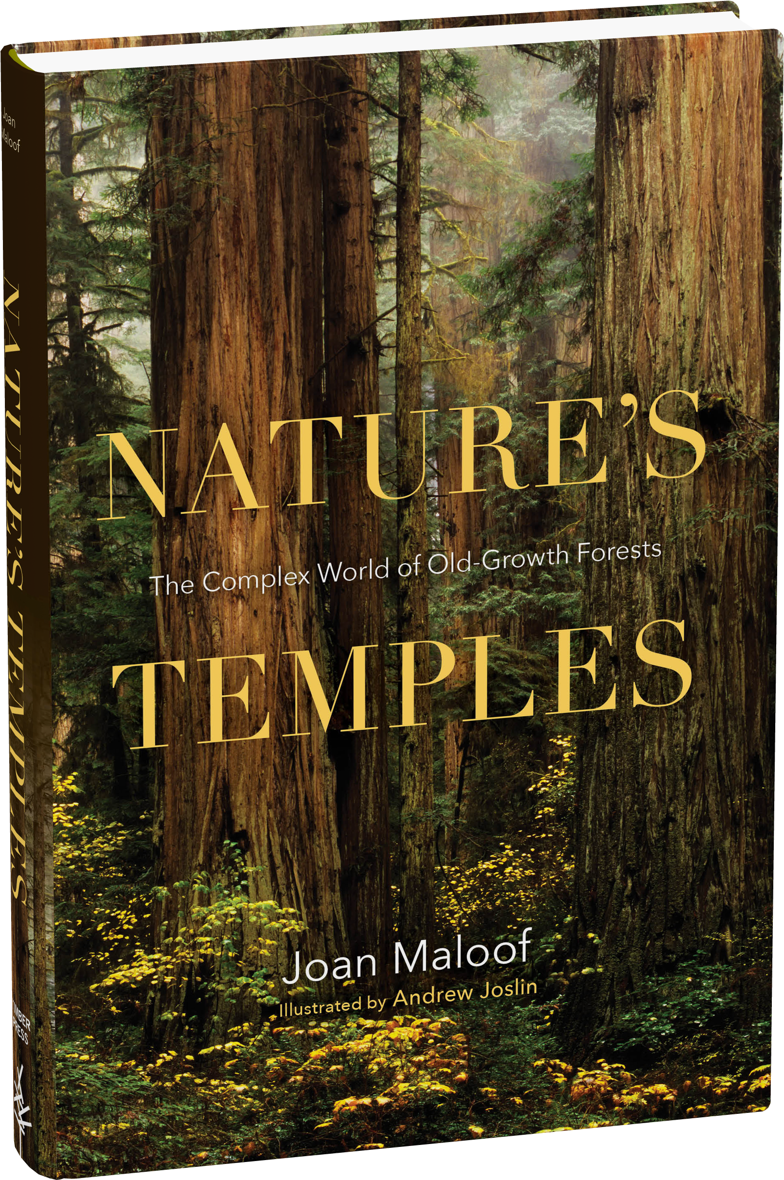 Nature's Temples (1722x2549), Png Download