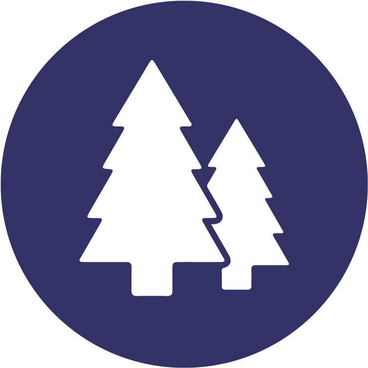 Trees - Circle (1000x1000), Png Download
