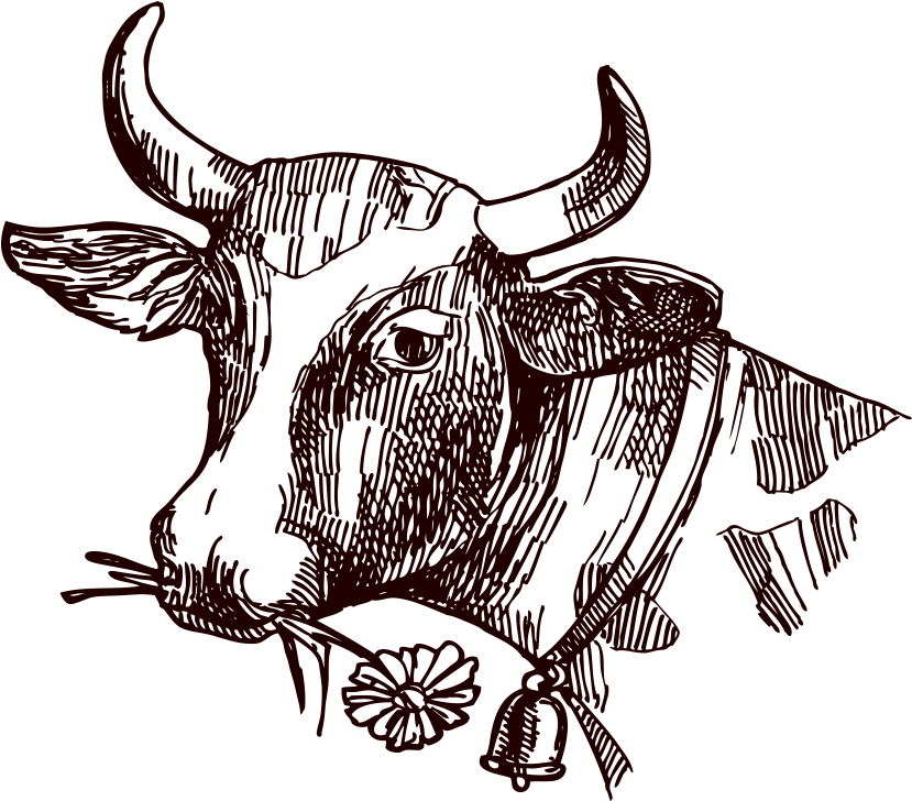 Download Svg Free Library Texas Longhorn Milk Drawing Sketch Creative Texas Drawings Full Size Png Image Pngkit