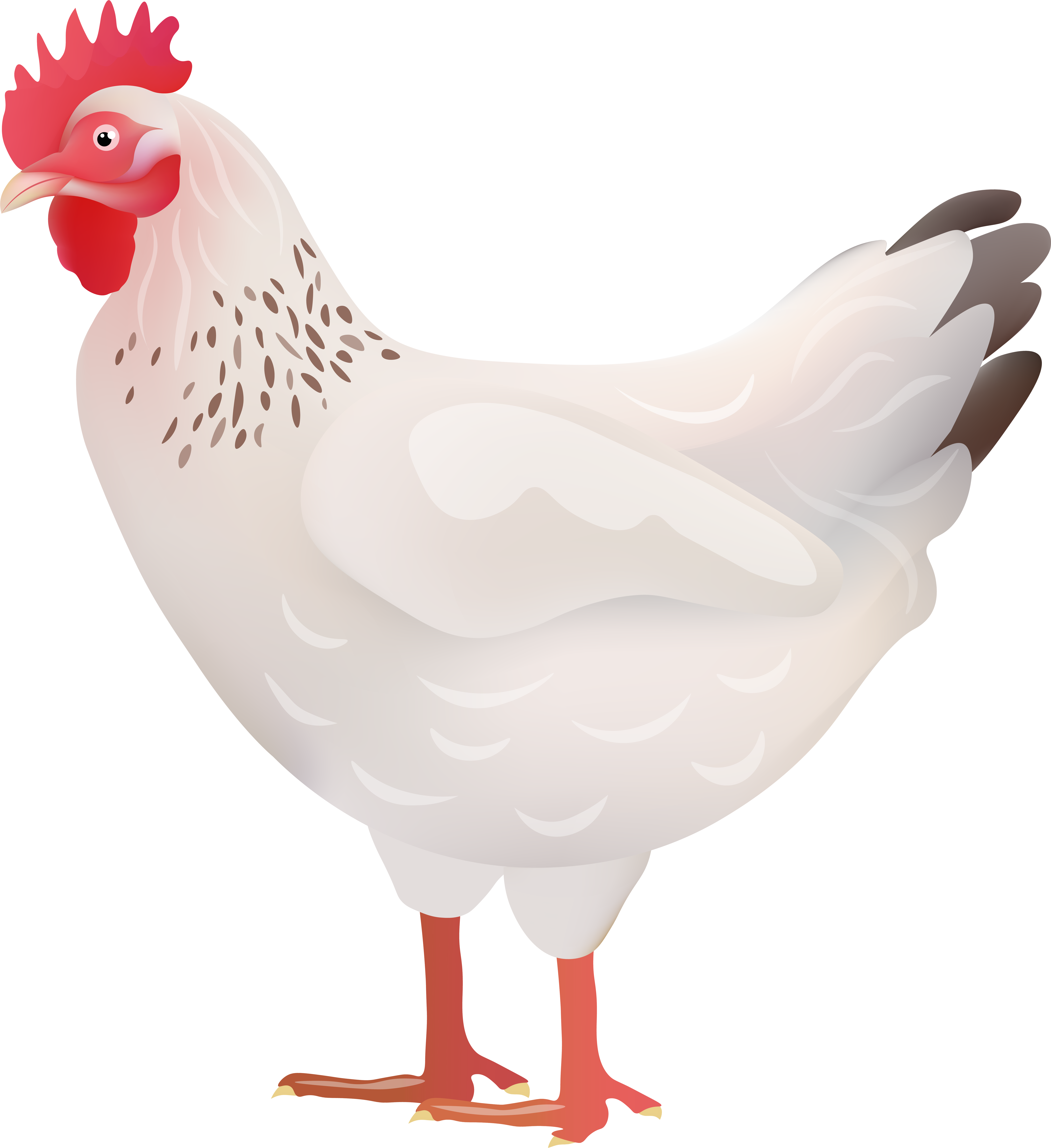 White Hen Transparent Image (7334x8000), Png Download