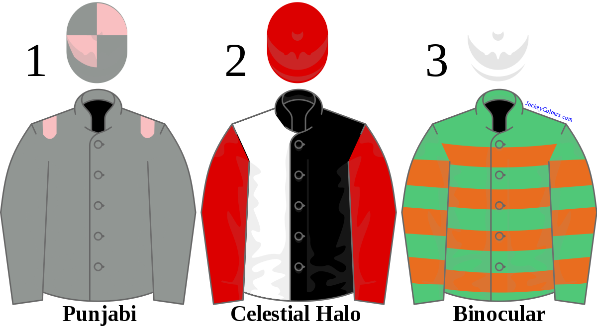 2009 Champion Hurdle - Cardigan (1200x656), Png Download