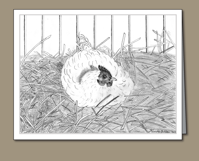 Birman (650x525), Png Download