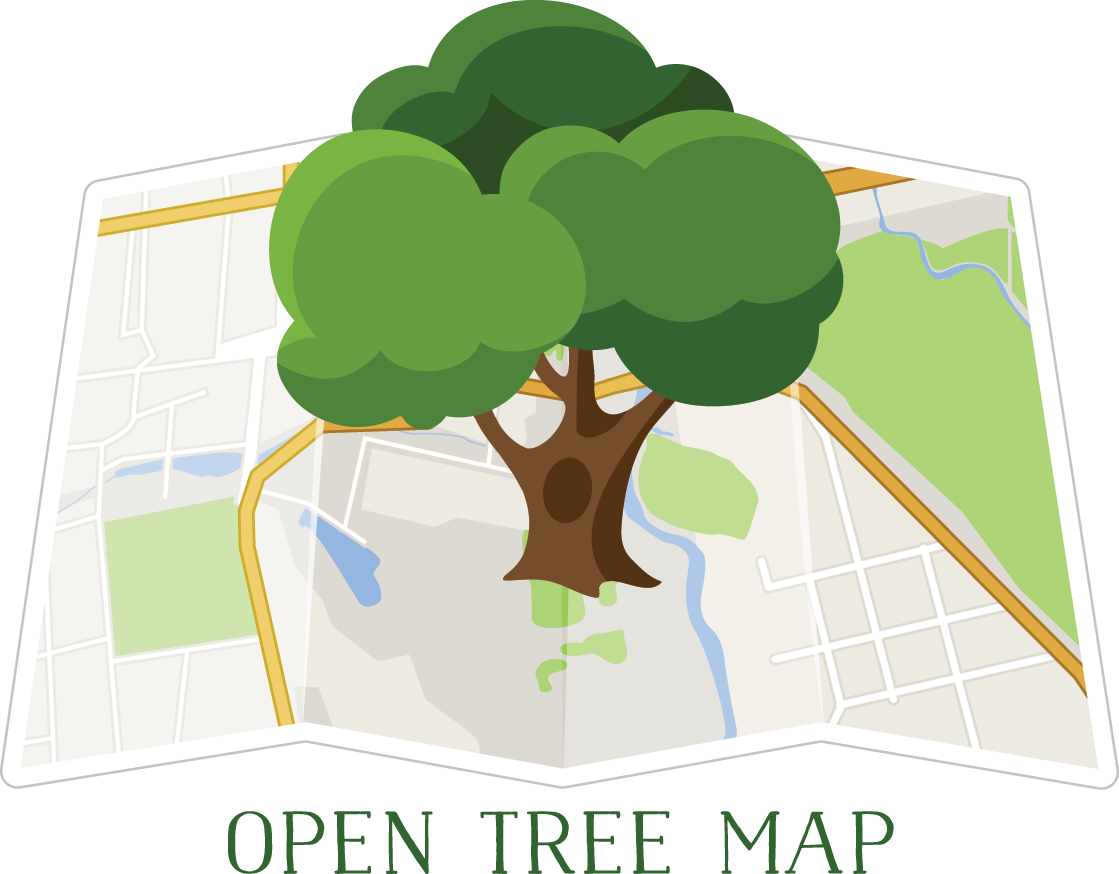 Ashoka Tree Map Printable - Tree (1119x874), Png Download