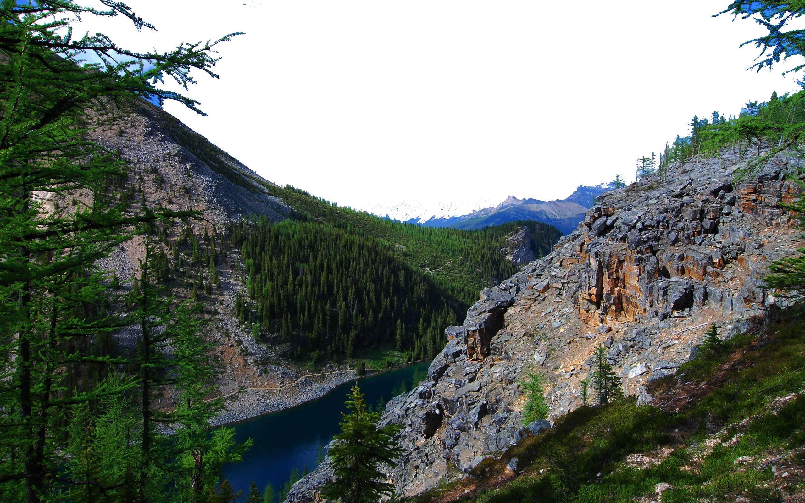 Nature (2560x1600), Png Download