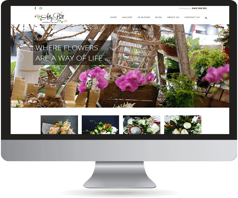 Ally Bell - Japanese Camellia (762x635), Png Download