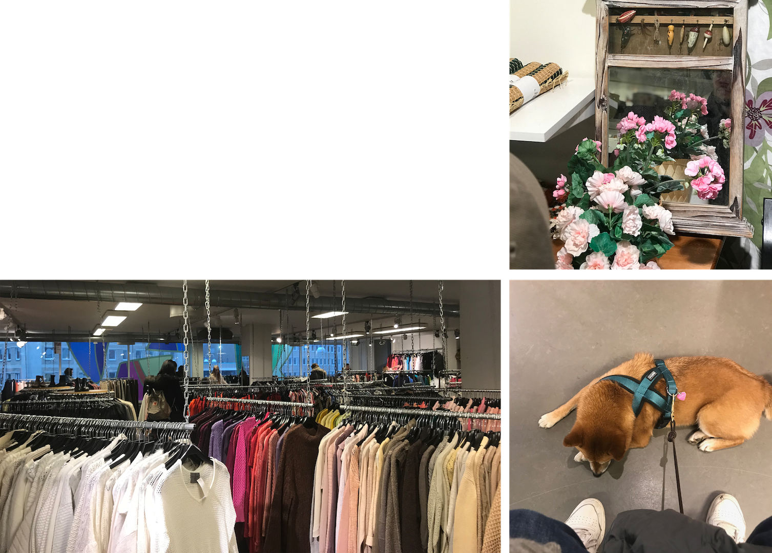 The Army Shop // Broadway And Sons - Boutique (1507x1080), Png Download