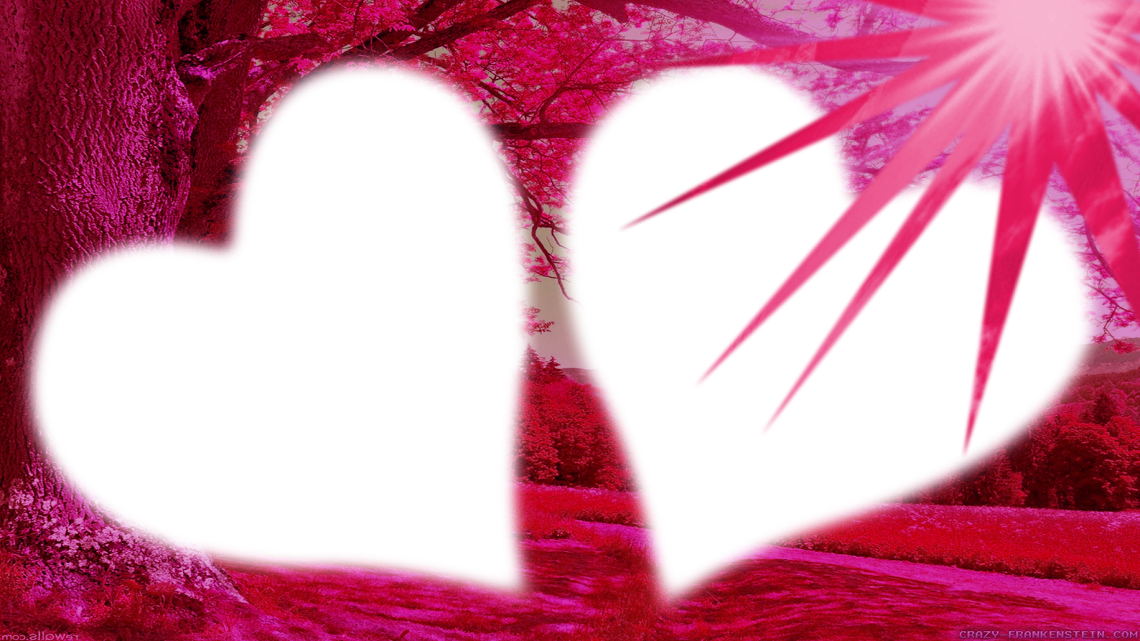 Images For Photo Frame Png - Heart (1600x900), Png Download
