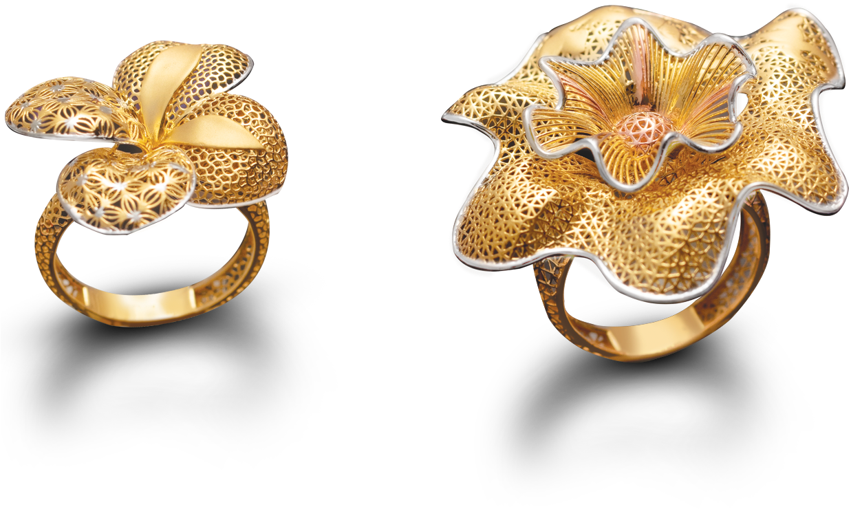 Wire Jwellery - Earrings (1250x908), Png Download