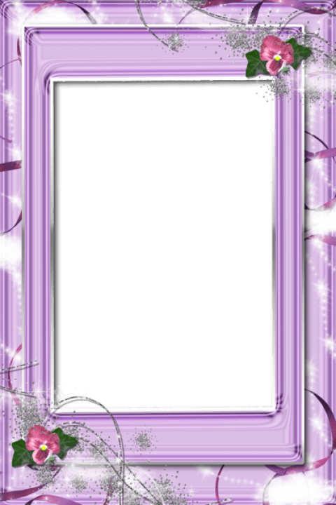 Free Png Best Stock Photos Transparent Violet Png Frame - Background Frame With Flowers (480x720), Png Download