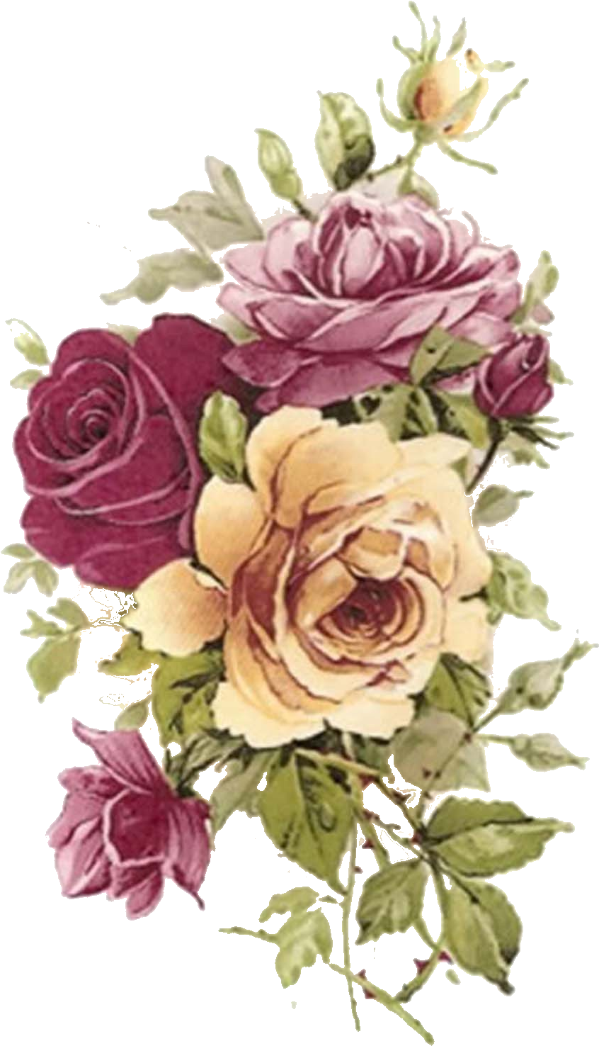 Pink Yellow Rose Select Size Waterslide Ceramic Decals - Vintage Flower Decals (1005x1600), Png Download