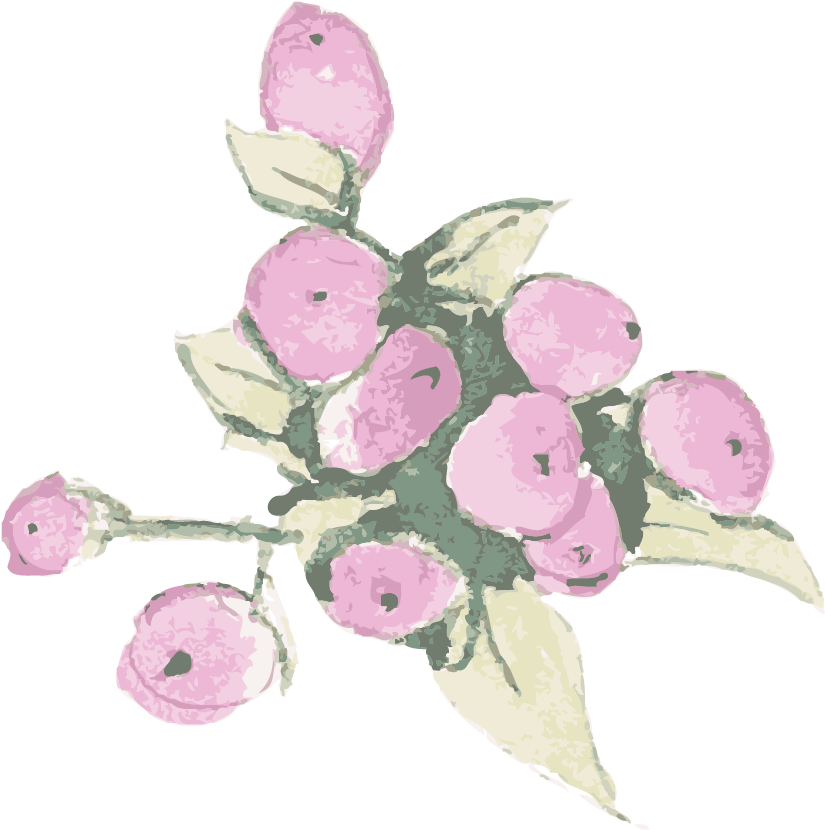 Bunch - Garden Roses (900x900), Png Download