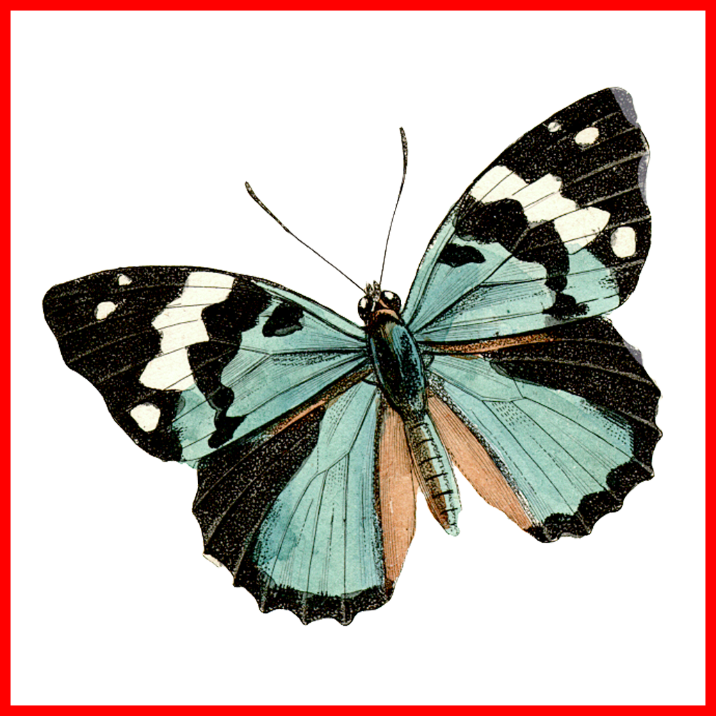 Brown And Blue Transparent Butterfly Clipart - Torre Eiffel Con Mariposa (1030x1030), Png Download