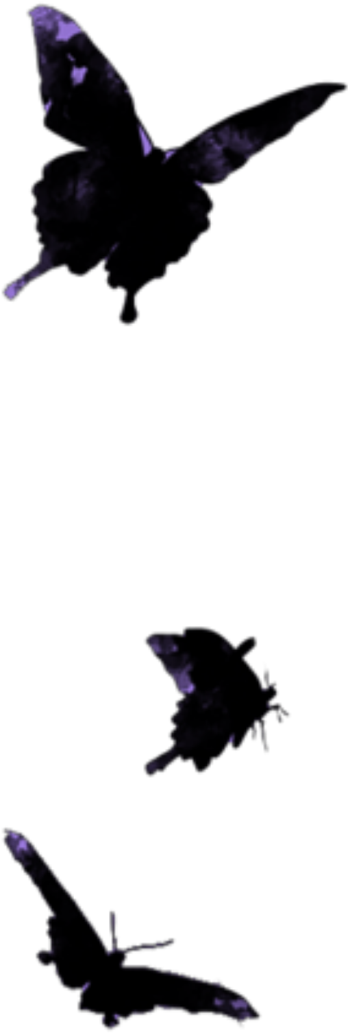 Mq Butterflys Black Butterfly Flying Png Png Flying - Flight (2289x2289), Png Download