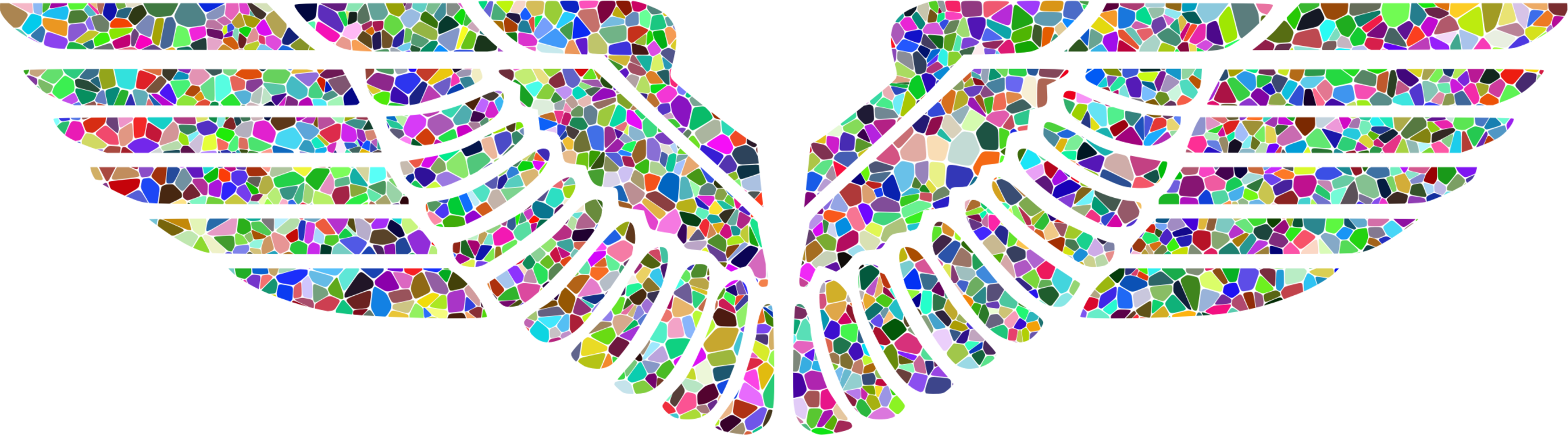 Bird Eagle Wing Computer Icons Animal - Png Eagles Wings (2703x750), Png Download