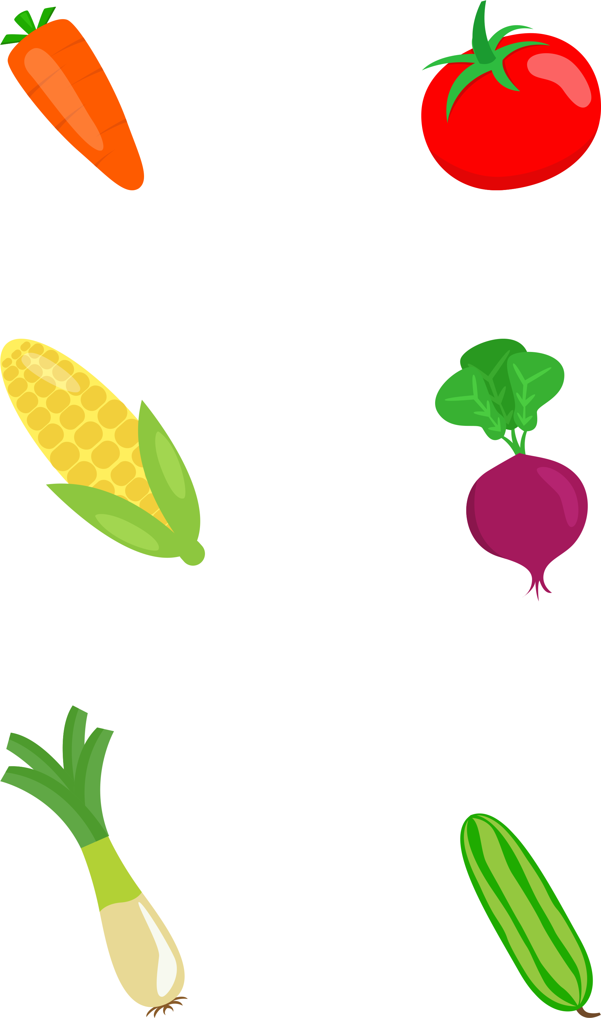 Flat Vegetable Colored Hand Drawn Png And Psd - Illustration (3072x4107), Png Download