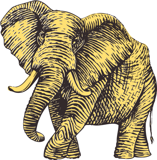 Order Online Tadka House - Indian Elephant (697x537), Png Download