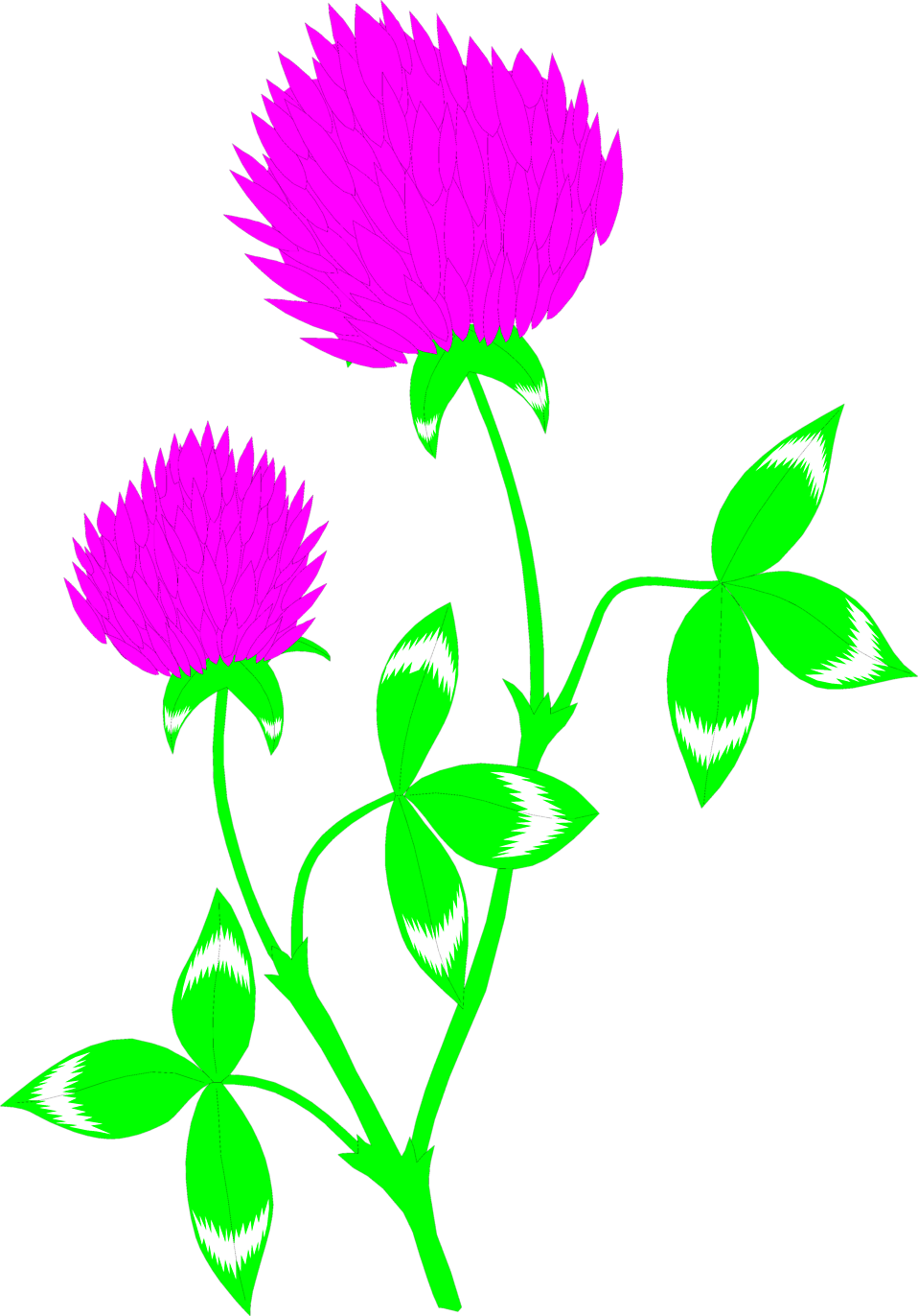 Red Clover Flower Clip Art - Red Clover Clip Art (958x1372), Png Download