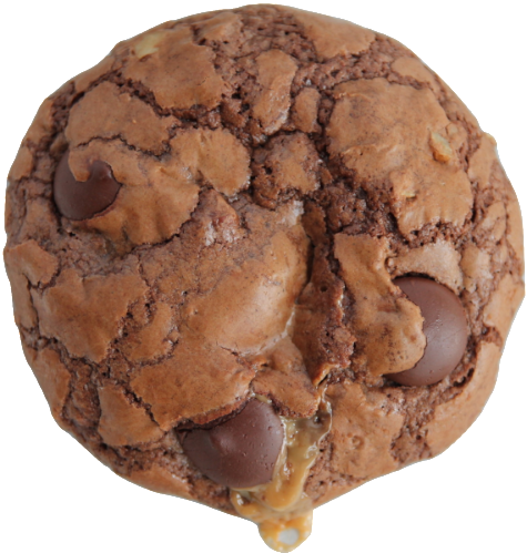 Chocolate Caramel Fudge Pecans - Chocolate Chip Cookie (500x498), Png Download