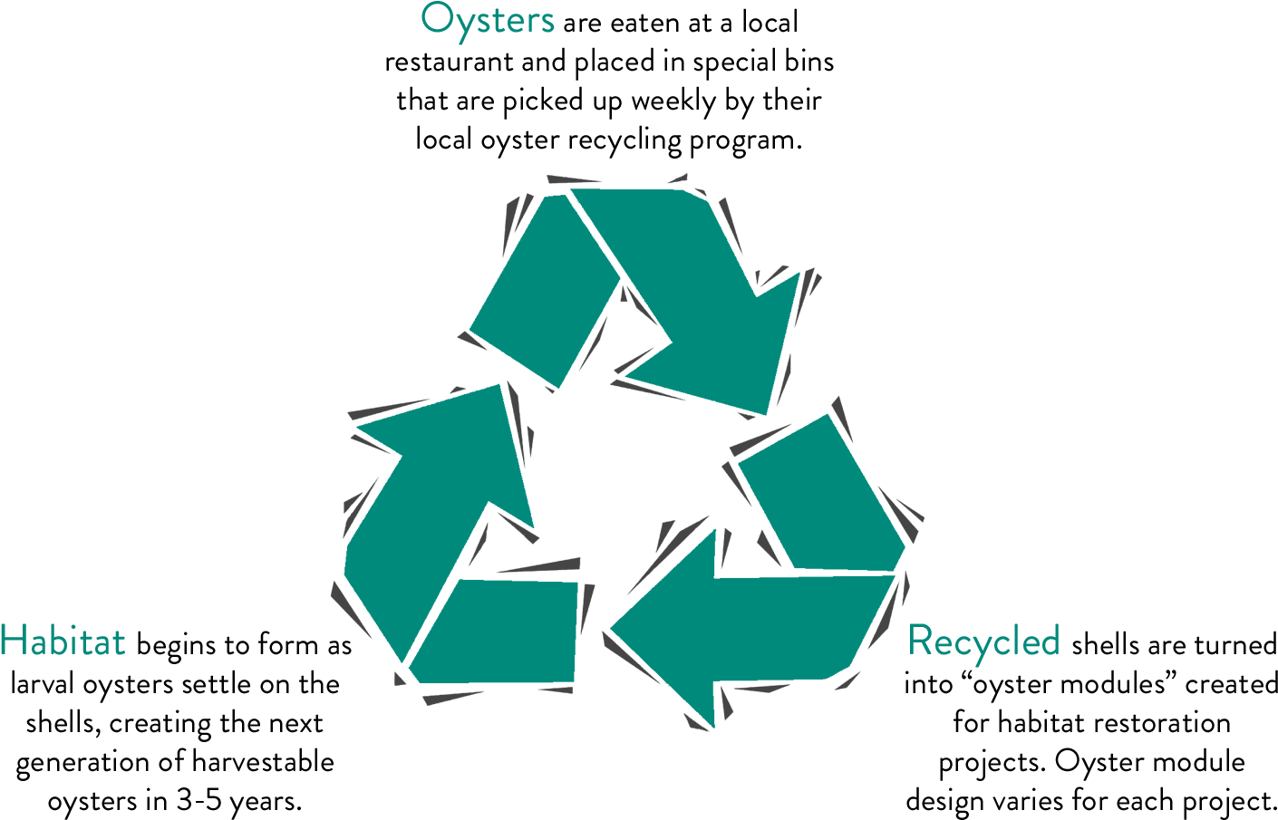 Every Day, Thousands Of Oysters Are Devoured In Florida - Recycling (1594x998), Png Download