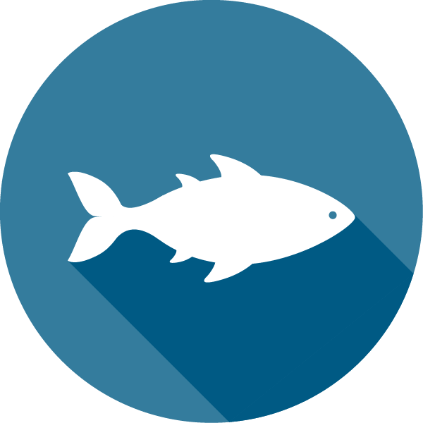 Blue Icon Of A Fish - Seafood Icon Png (600x600), Png Download