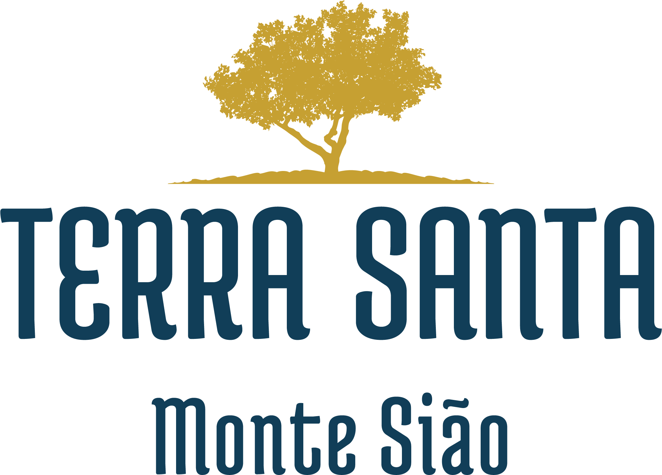 4189d Logo Terra Santa Monte Si O - Tree (2362x2362), Png Download