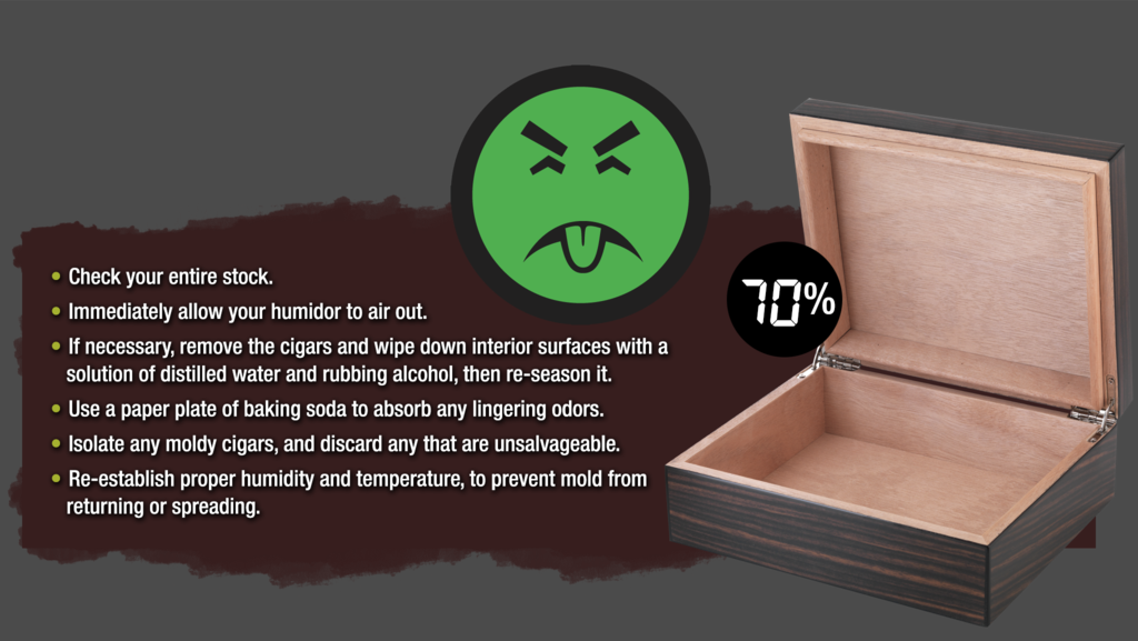 3842 Animation 1305 Assetid 1172 - Mr Yuck (1024x577), Png Download